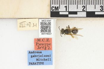Media type: image;   Entomology 774027 Aspect: Labels